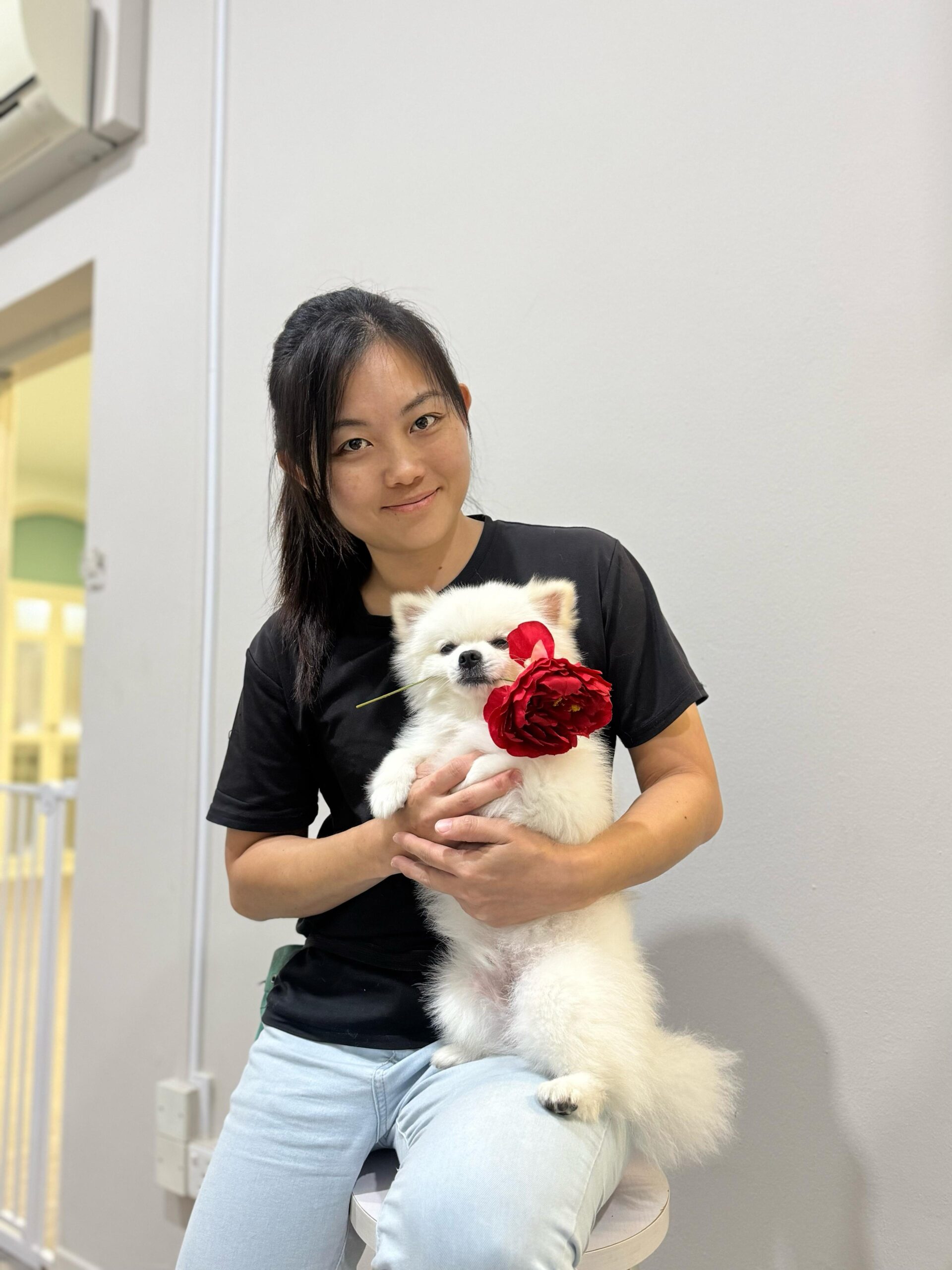 TOP DOG FRANCIS CHOW