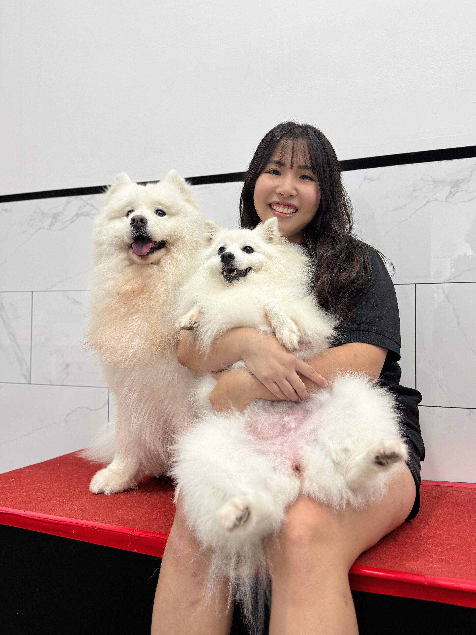 PAWSOME KENNELS SHU HUI