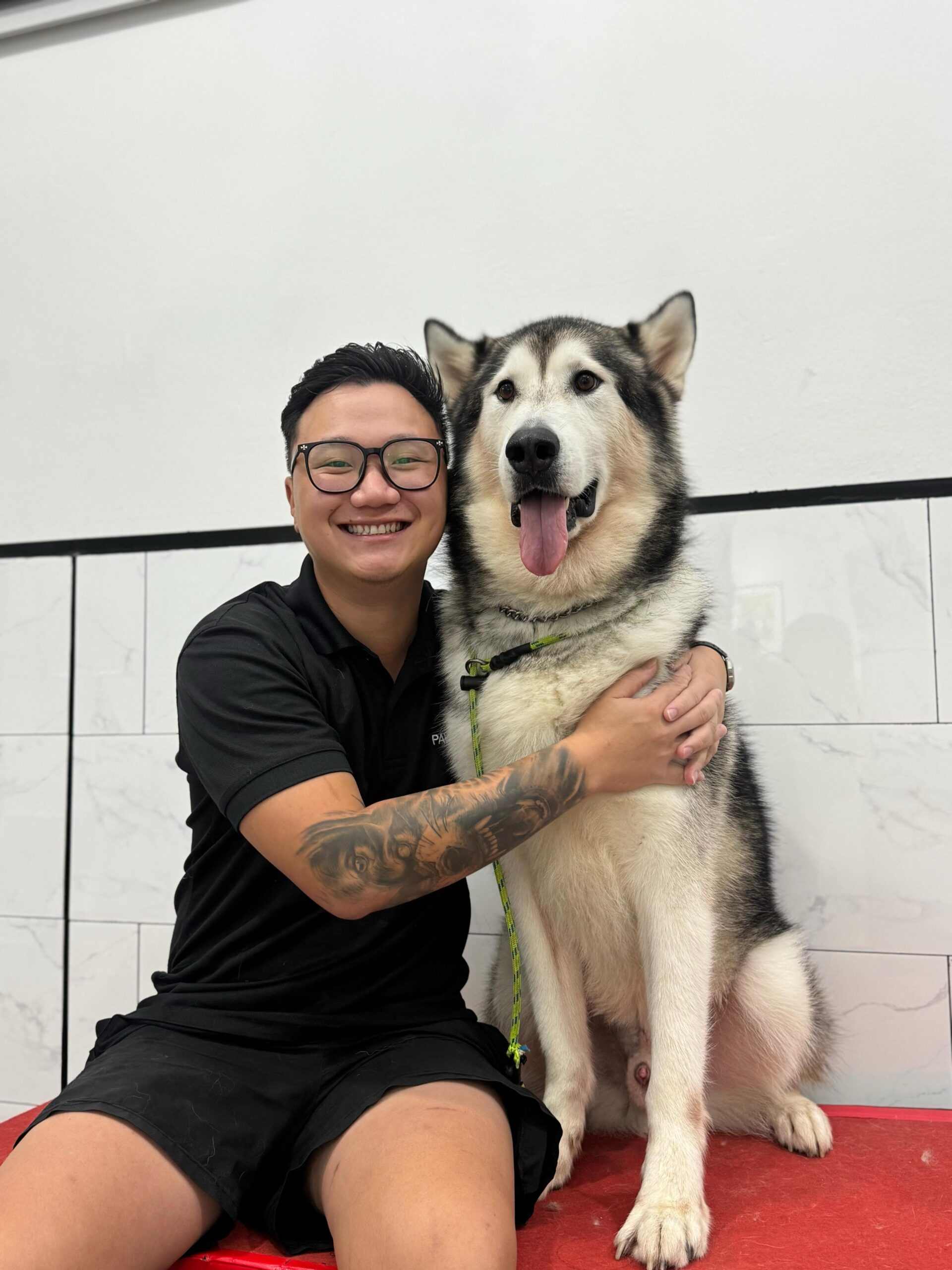 PAWSOME KENNELS VINCENT