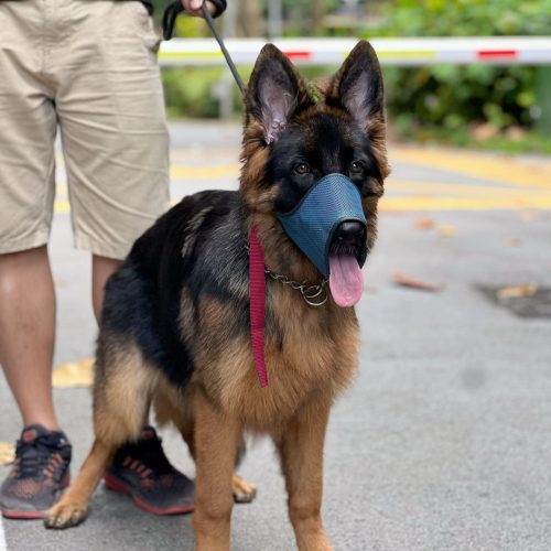 WhatsApp Image 2025-08-04 at 6.05.38 PM